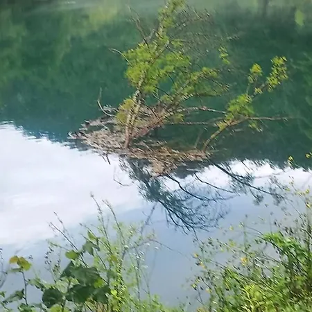 Omar & * Bihac